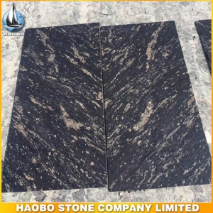 Black Titanium Granite Tile